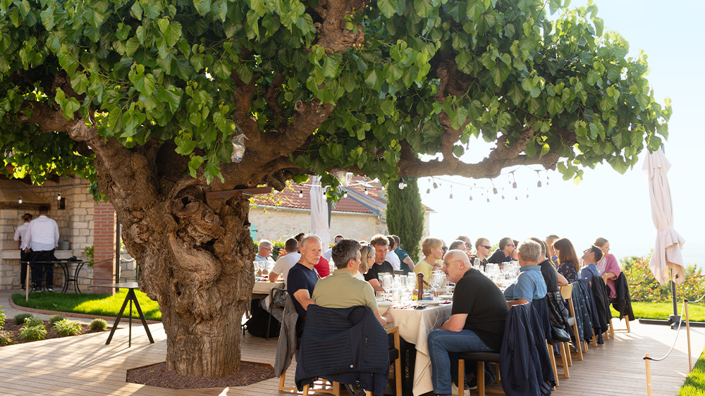 Employees having lunch in a Mediterranean garden 