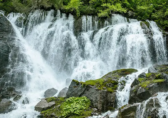 Natural waterfall in a green forest landscape