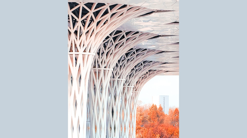 The striking white columns are reminiscent of mangroves.