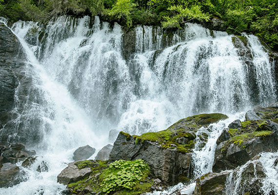 Natürlicher Wasserfall in einer grünen Waldlandschaft