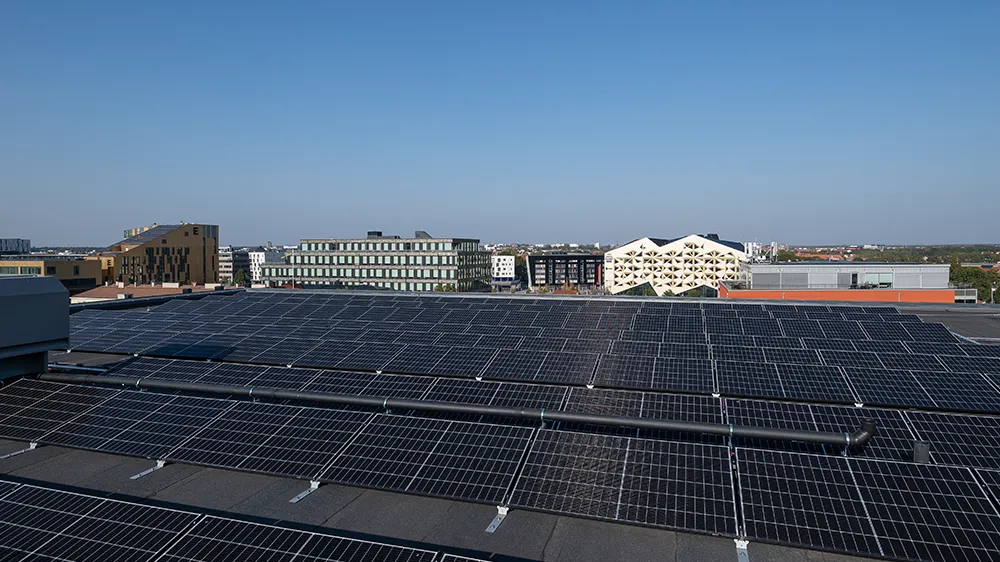 Auf dem Dach sorgen Solarpanels für grüne Energie. (Foto)